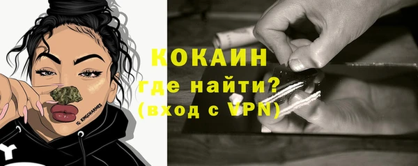 спайс Бородино
