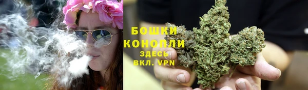 винт Бронницы