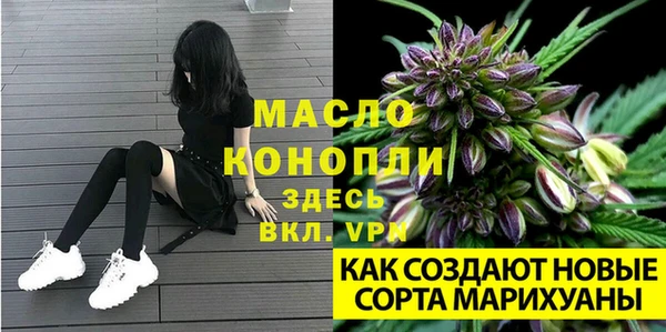 спайс Бородино
