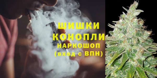 спайс Бородино