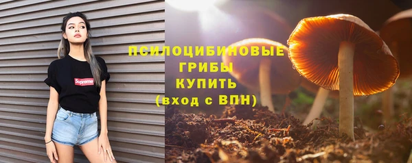 спайс Бородино