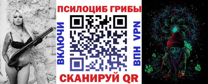 где можно купить наркотик  Пойковский  блэк спрут   Псилоцибиновые грибы Magic Shrooms 